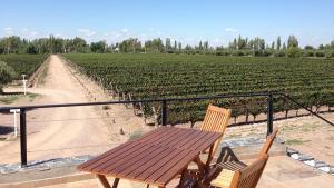 Mendoza Argentinien Weingut