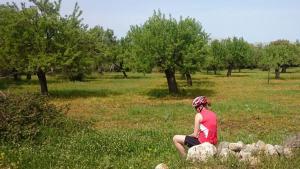 Radfahren-auf-Mallorca-Espenhain