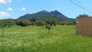 Mallorca Landschaft