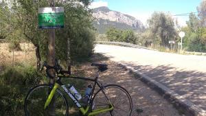 Radfahren-auf-Mallorca-Rad-2016