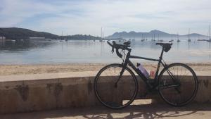 Radfahren-auf-Mallorca-Rad