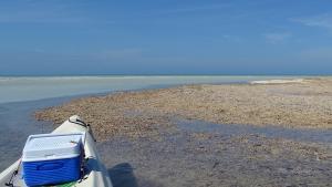 Isla Holbox Ausflüge Kanutour Kanu