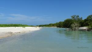 Isla Holbox Ausflüge Kanutour Sandbank