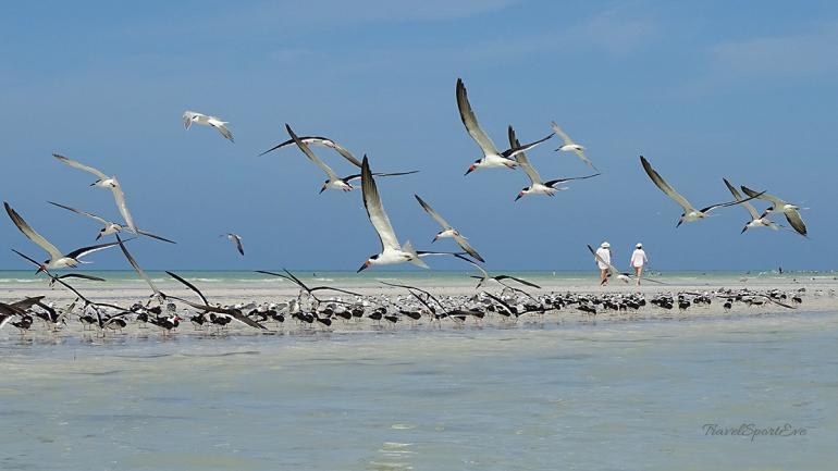 Isla Holbox Ausflüge Kanutour Spaziergang