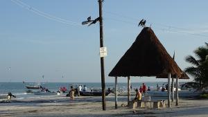 Isla Holbox Strand Mast