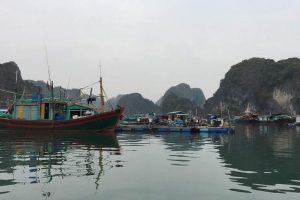 Vietnam Bilder Cat Ba Halong Bucht